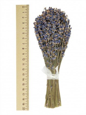 Букет из высушенных соцветий Крымской лаванды Синева (мини)