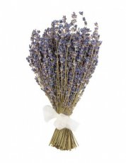 Букет из высушенных соцветий Крымской лаванды Синева 25-30 см